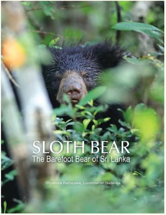 Sloth Bear : The Barefoot Bear of Sri Lanka - Shyamala - 9789675492259 - Sunway University Press