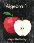 Clearances Sale - Algebra 1 - Elayn Martin-Gay - 9780134112756 - Pearson