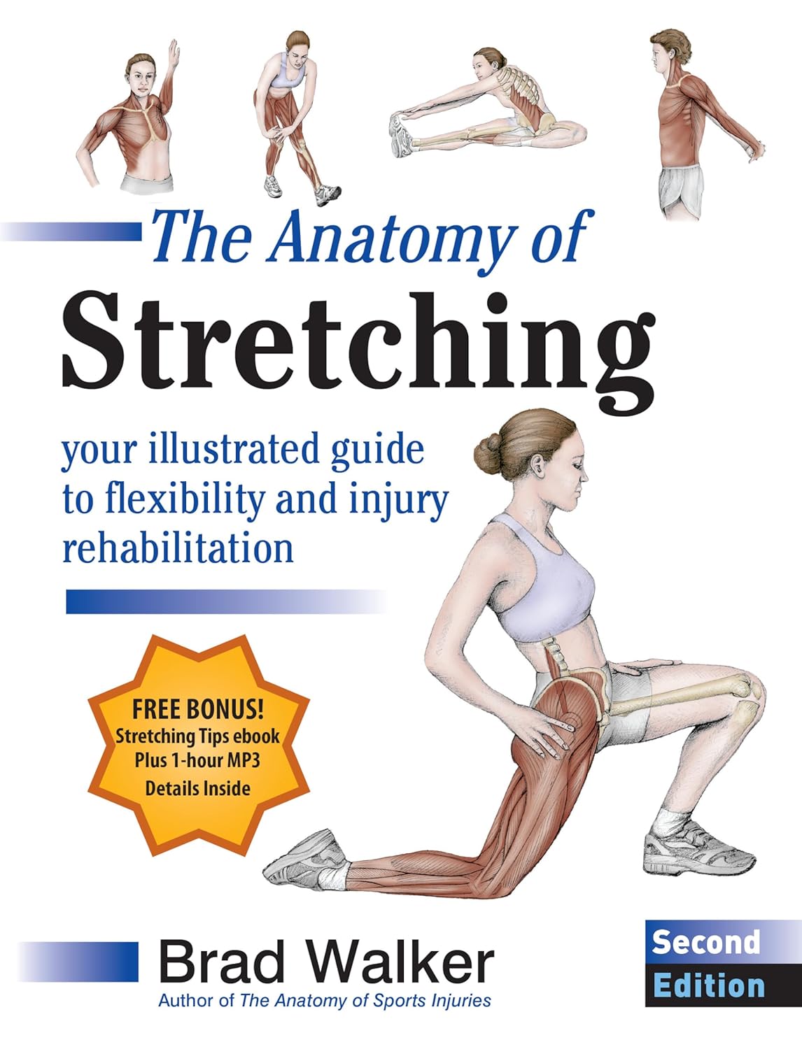 The Anatomy of Stretching, Second Edition - Brad Walker - 9781583943717 - North Atlantic Books