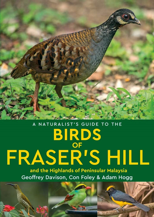 A Naturalist's Guide to the Birds of Fraser's Hill - Geoffrey Davison - 9781912081547 - John Beaufoy Publishing