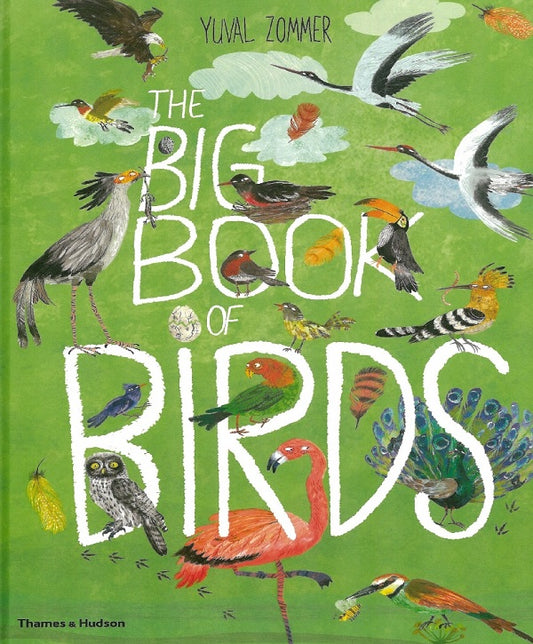 The Big Book of Birds - Yuval Zommer - 9780500651513 - Thames & Hudson