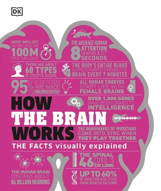 How the Brain Works : The Facts Visually Explained -  DK - 9780241403372 - Dorling Kindersley