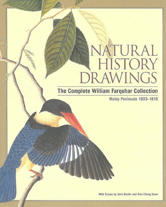 Natural History Drawings - John Bastin - 9789814217699 - Editions Didier Millet